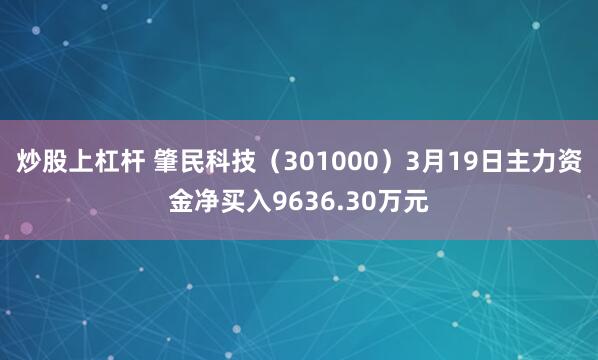 炒股上杠杆 肇民科技（301000）3月19日主力资金净买入9636.30万元