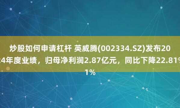 炒股如何申请杠杆 英威腾(002334.SZ)发布2024年度业绩，归母净利润2.87亿元，同比下降22.81%