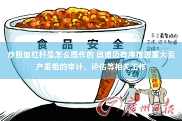 炒股加杠杆是怎么操作的 奥浦迈有序推进重大资产重组的审计、评估等相关工作