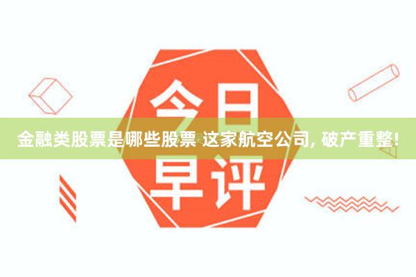 金融类股票是哪些股票 这家航空公司, 破产重整!
