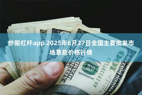 炒股杠杆app 2025年6月27日全国主要批发市场草菇价格行情