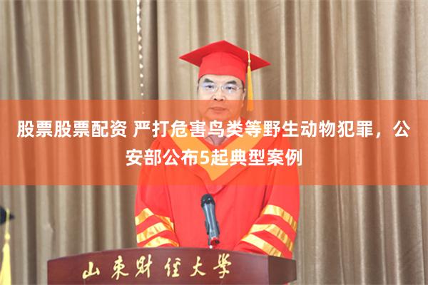 股票股票配资 严打危害鸟类等野生动物犯罪，公安部公布5起典型案例