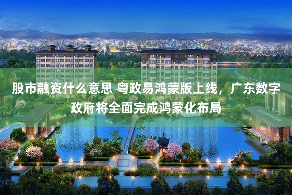 股市融资什么意思 粤政易鸿蒙版上线，广东数字政府将全面完成鸿蒙化布局